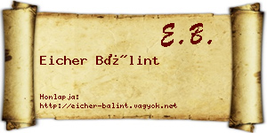 Eicher Bálint névjegykártya